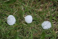 Grêlons de plus de 3 centimètres tombés lors de l'orage du 26 juin 2012. Cliquez pour agrandir la photo.